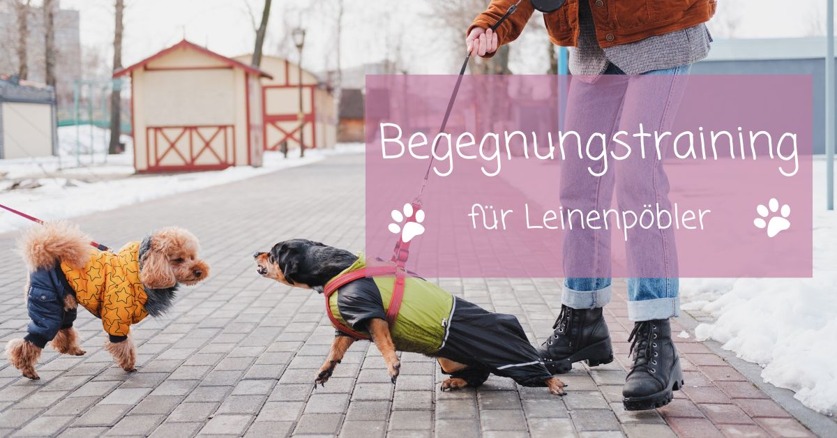 leinenpöbler