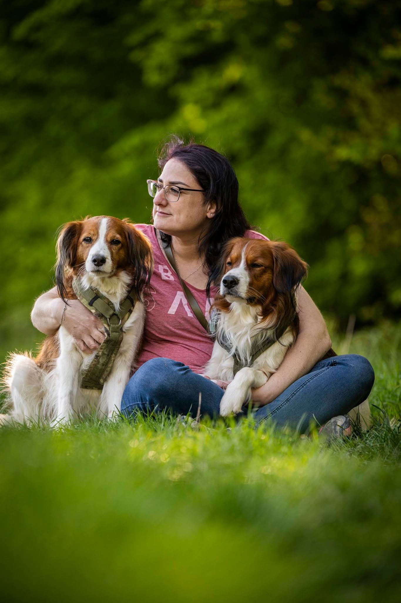 Presse solingen hundetraining