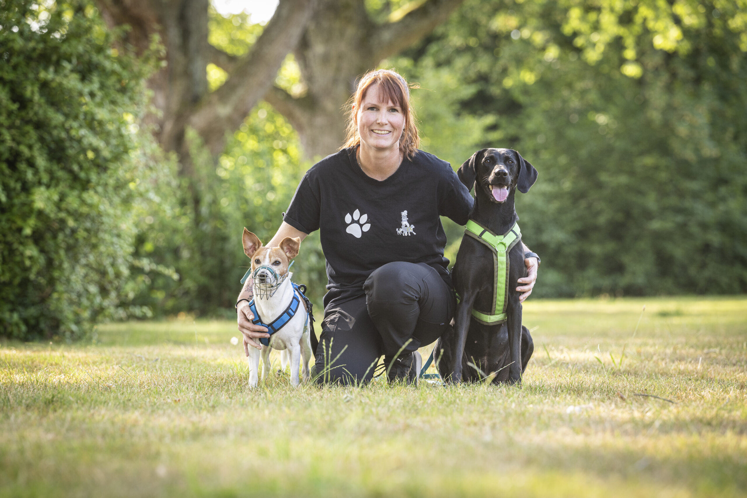 solingen Hundeschule