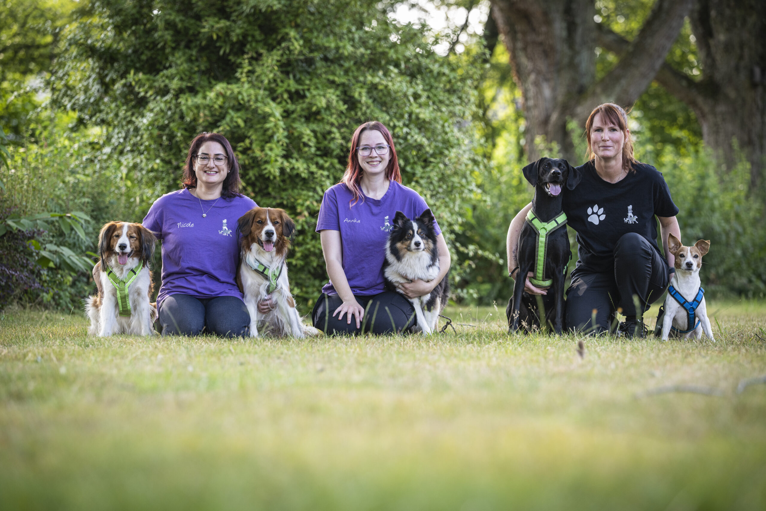 Hundeschulteam Solingen